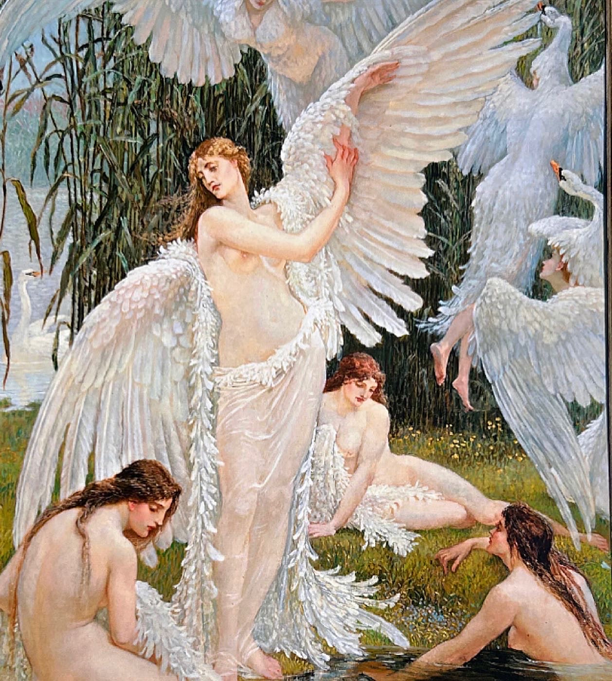 Swan Maidens
