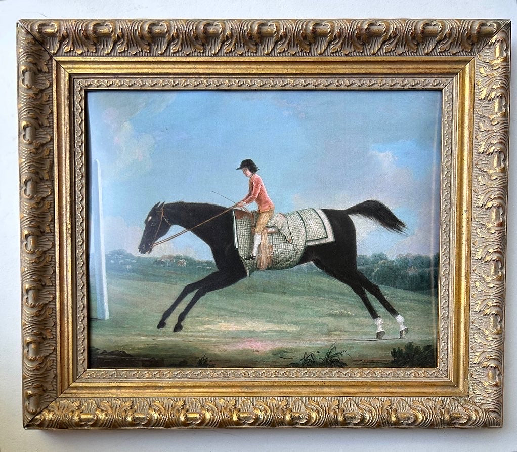 Jumping Horse