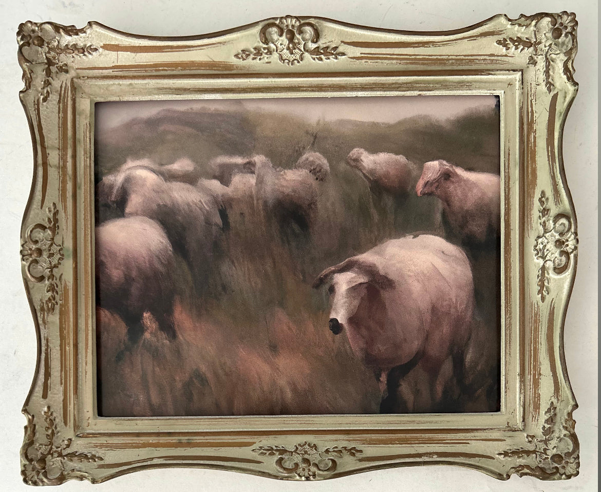 Sheep Meadow