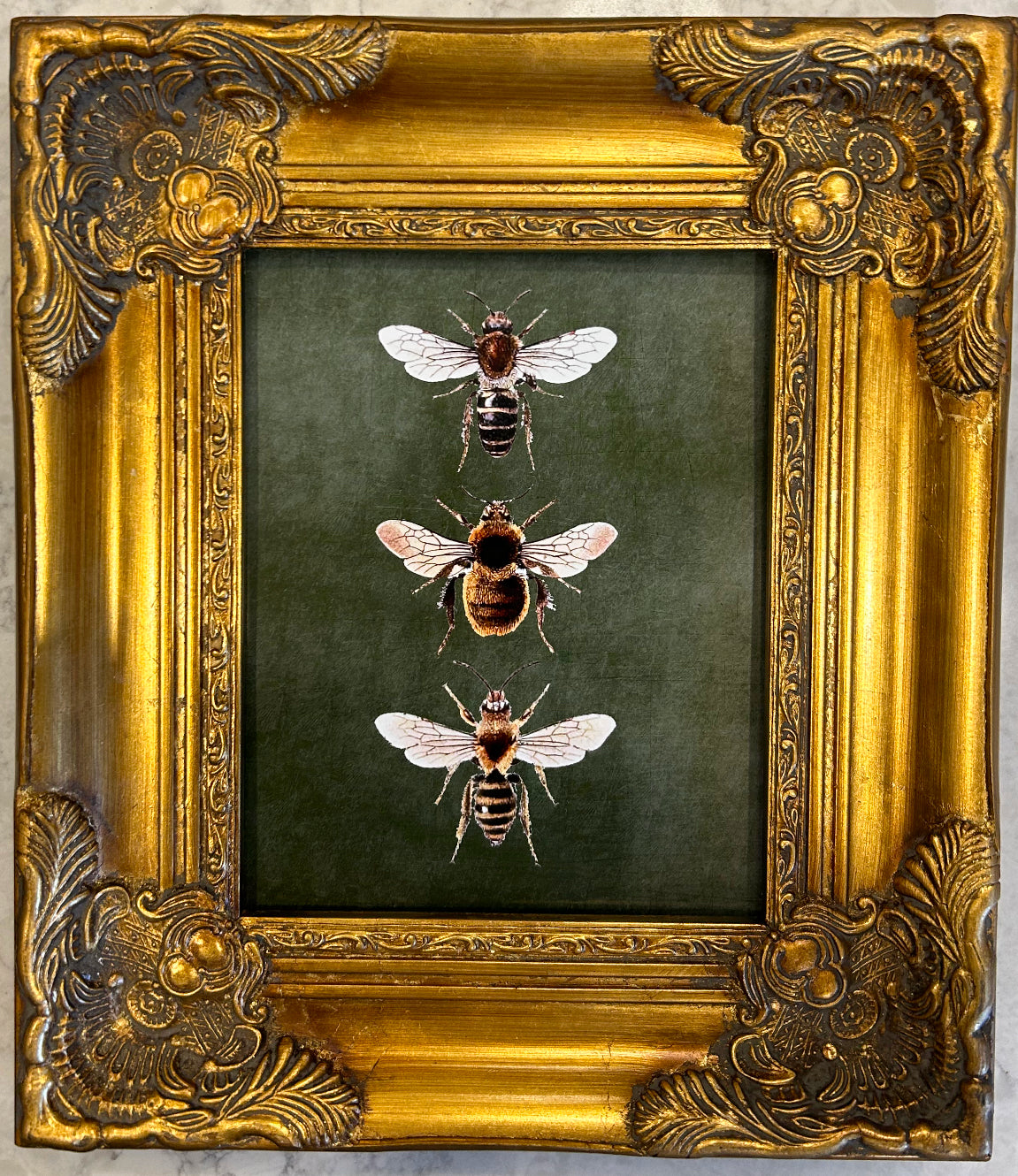 Bees I