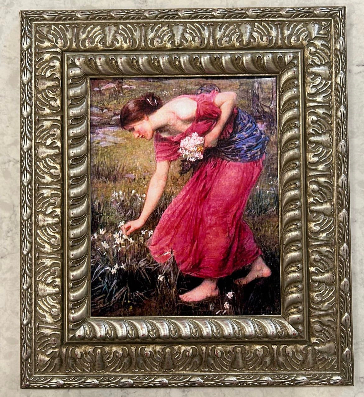 Narcissus