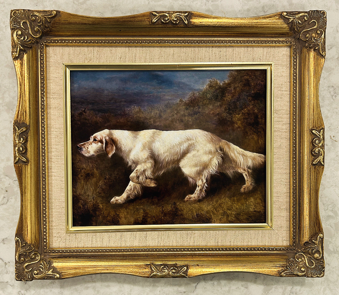 English Setter I