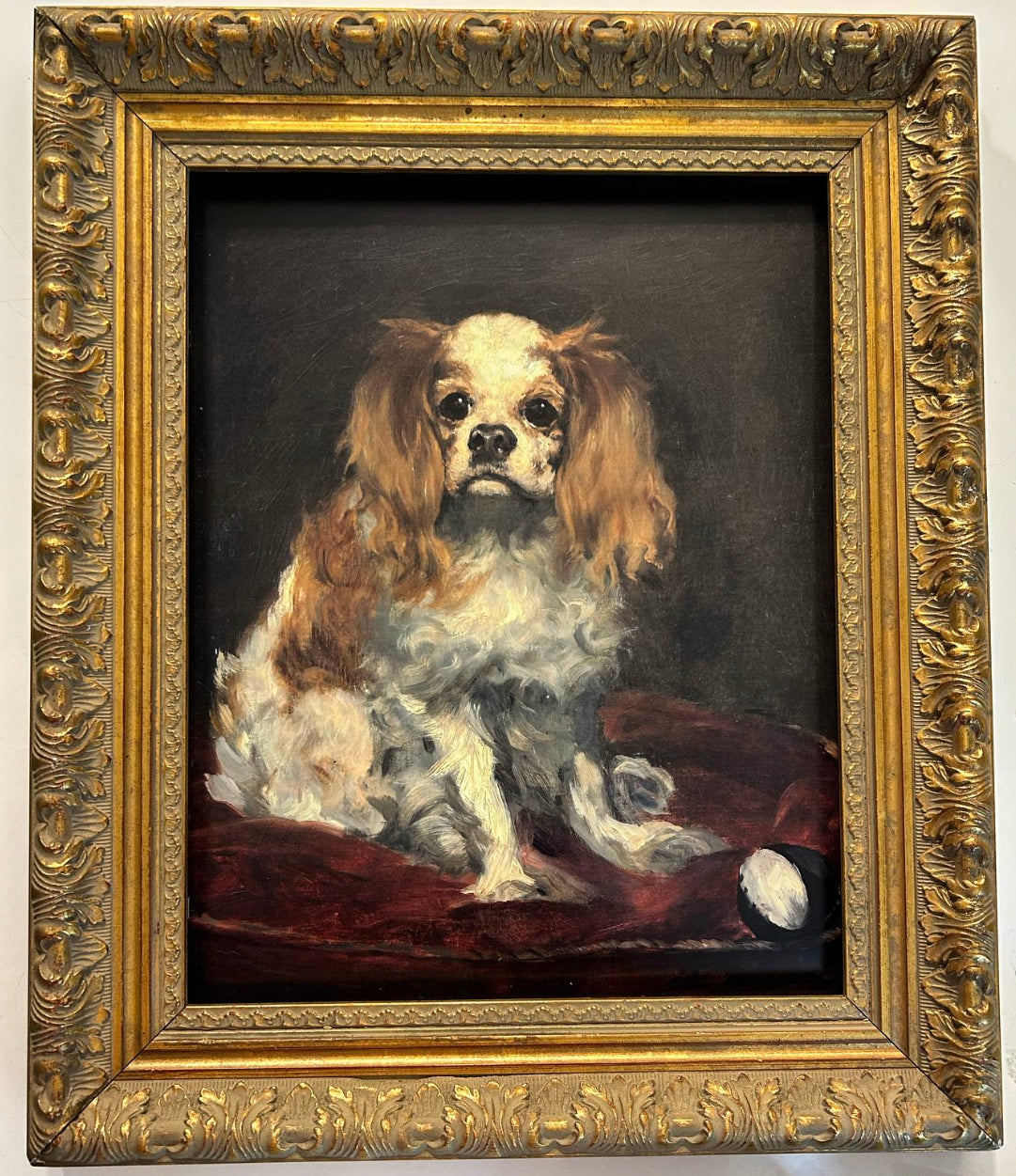 Regal Cavalier