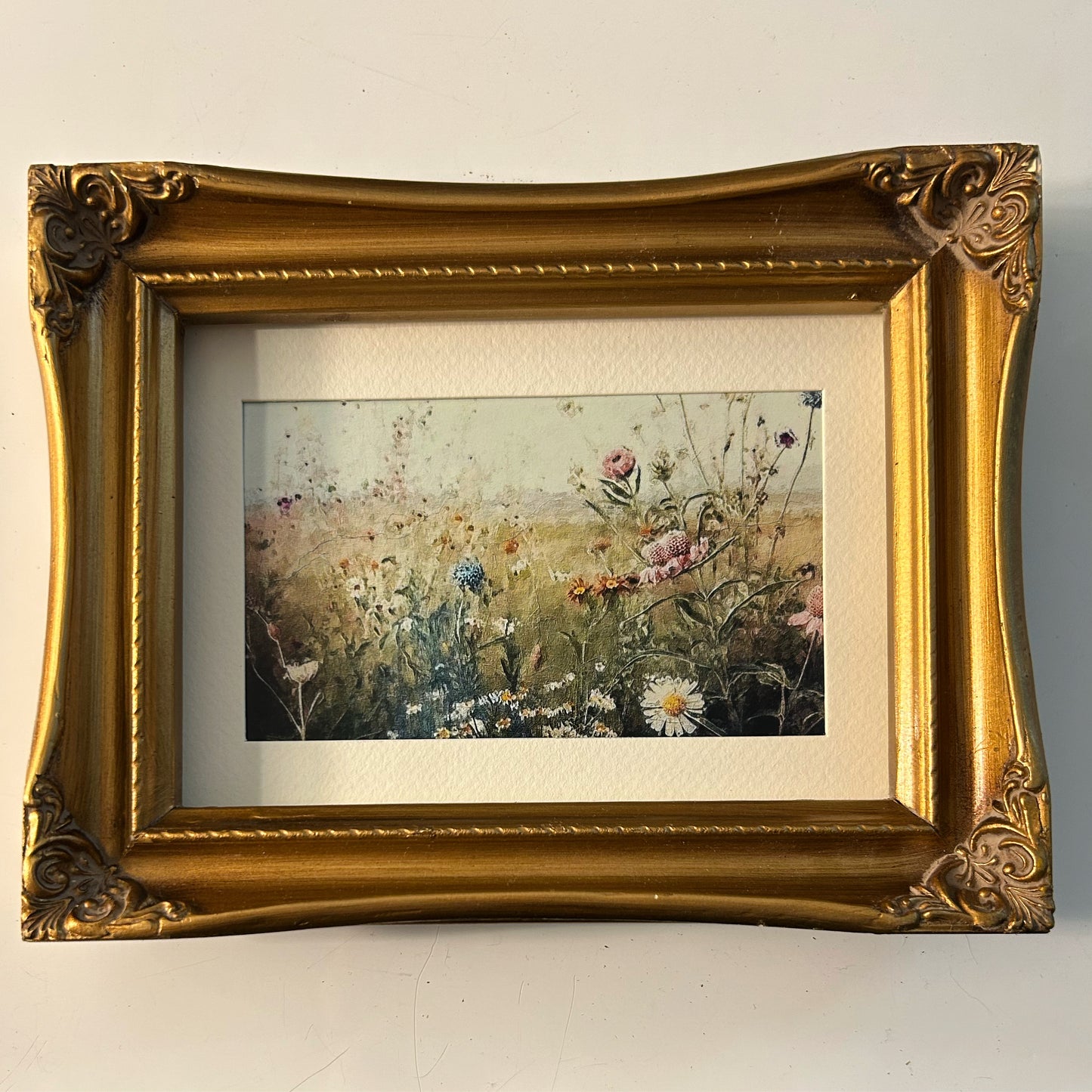 Wildflowers V