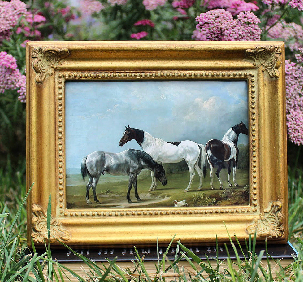 Horse IV