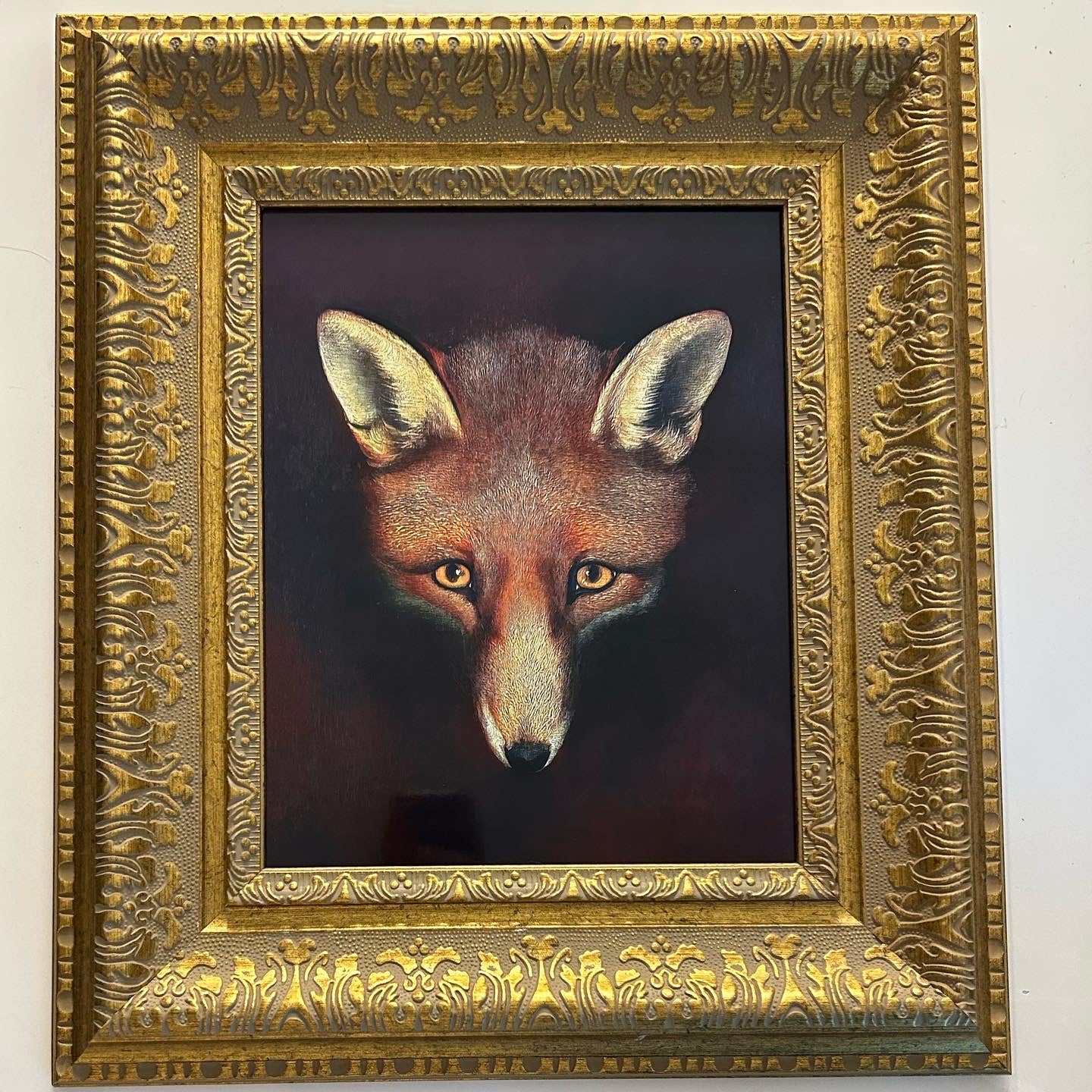 Staring Fox
