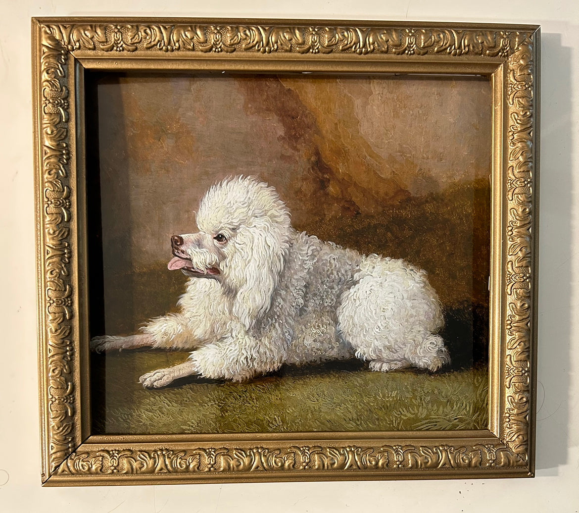Panting Poodle