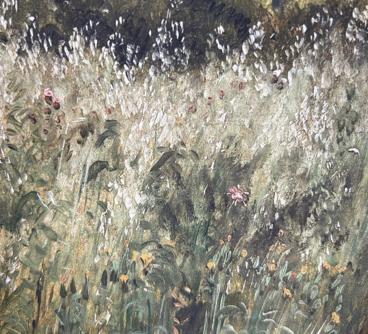 Pink Flower Field