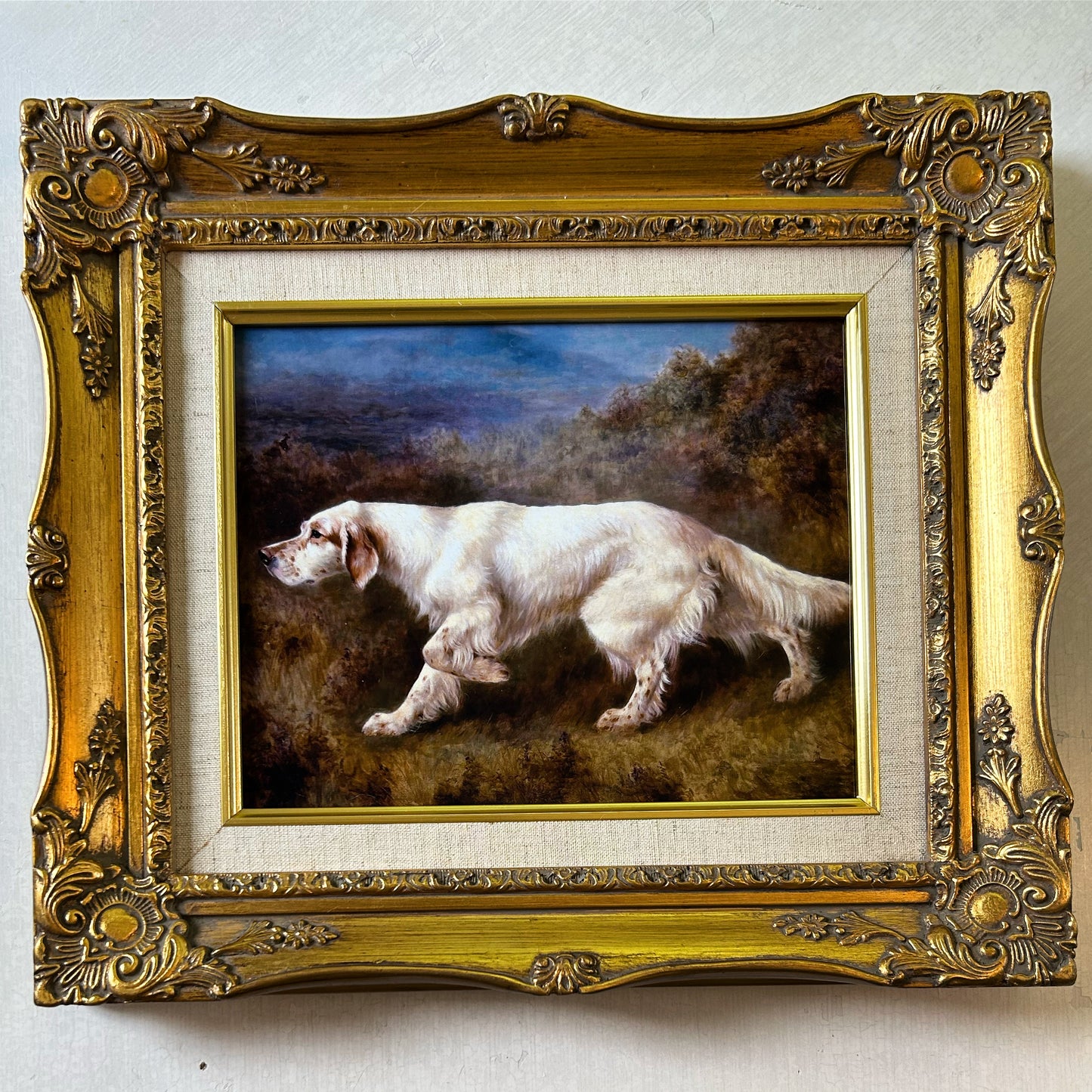 English Setter I