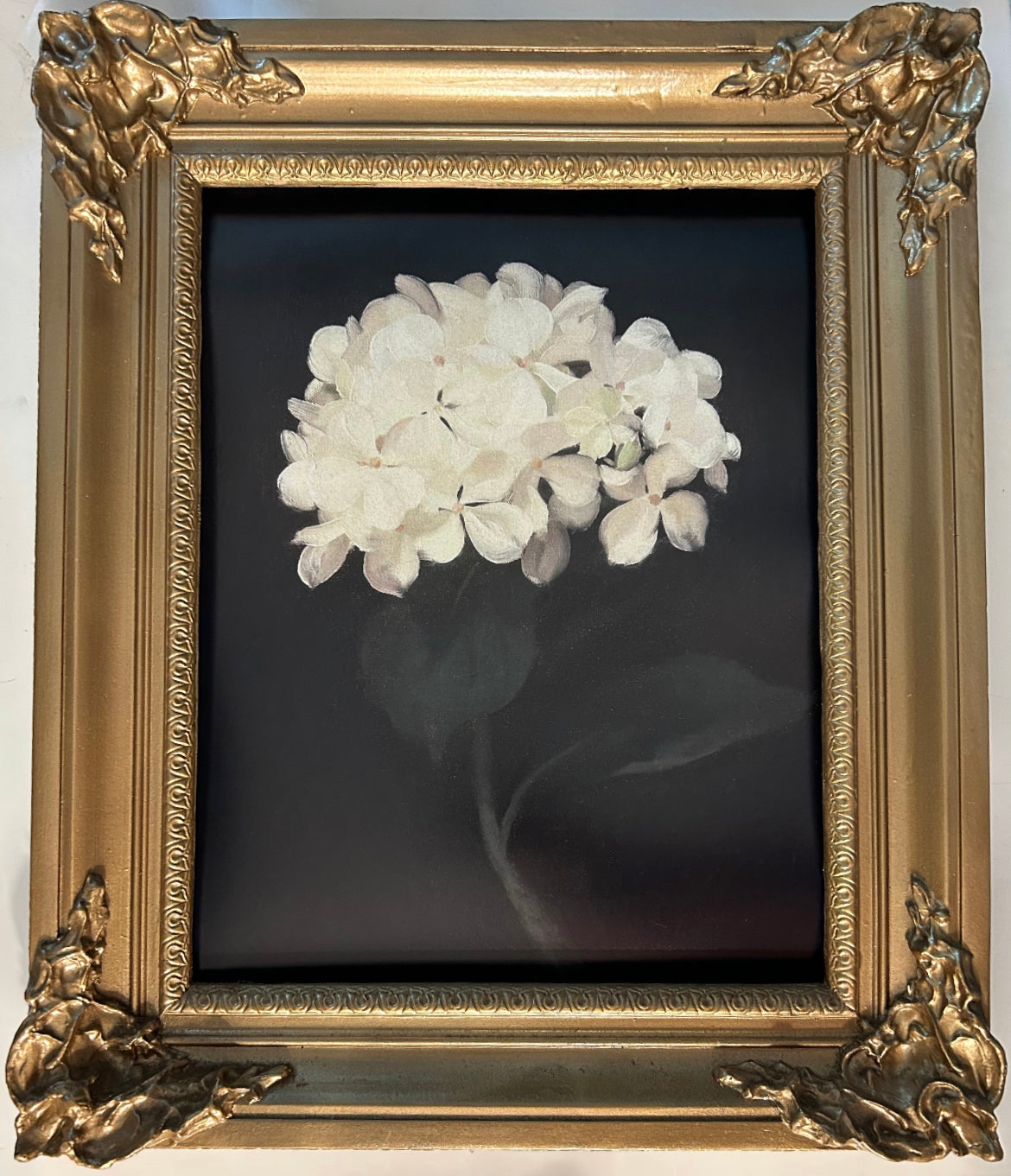 Dark Hydrangea