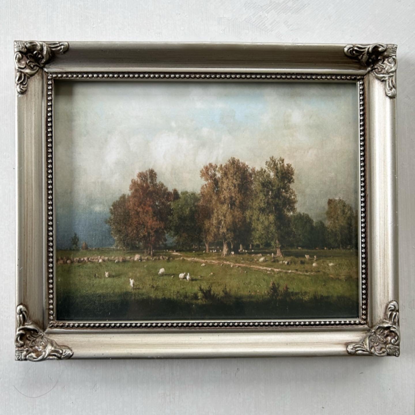 Roaming Sheep