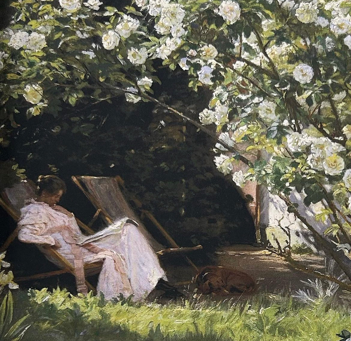 Reading Woman II