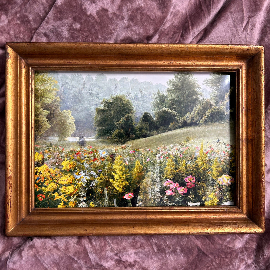 Blossoming Fields II