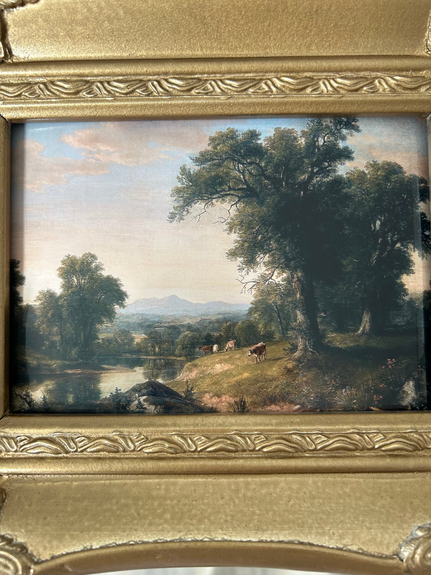 Landscape V
