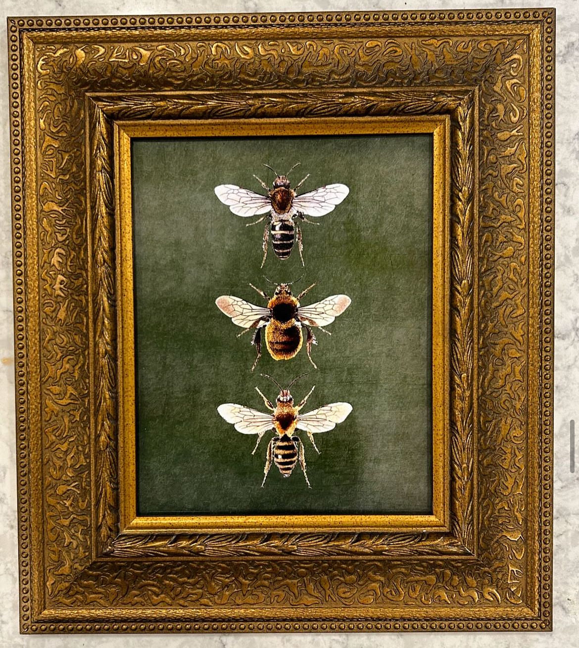 Bees I