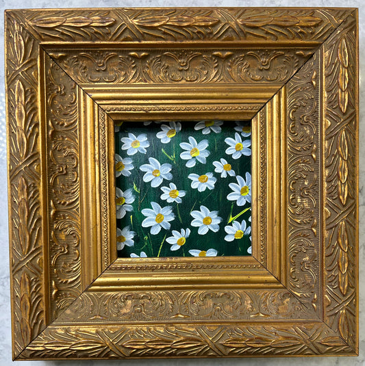 Original oil Daisies