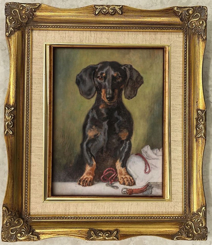 Dachshund I