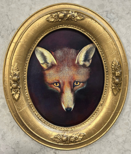 Staring Fox