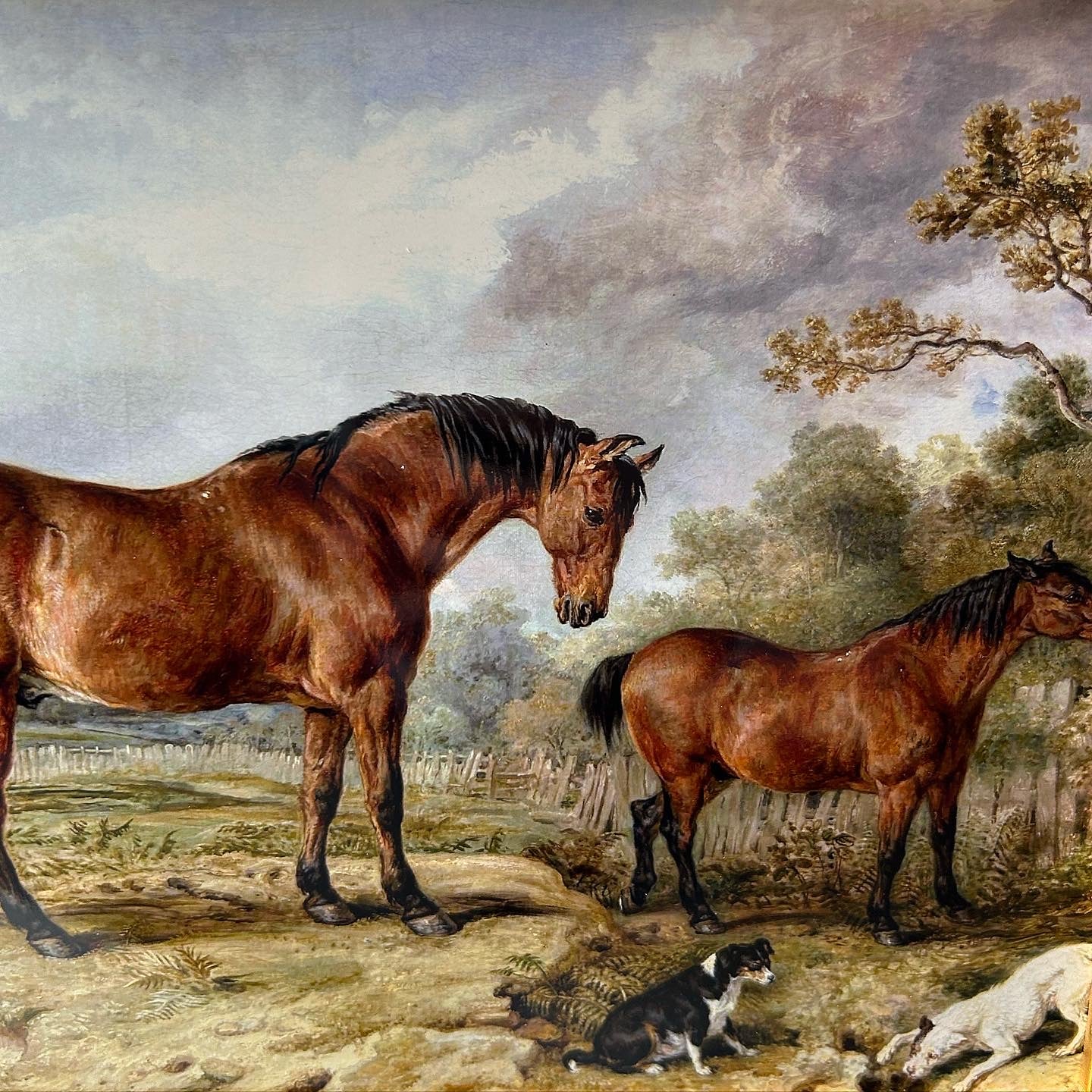 Horses VI