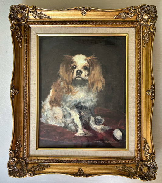 Regal Cavalier