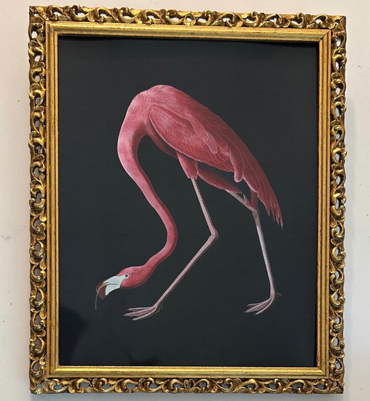 Dark Flamingo