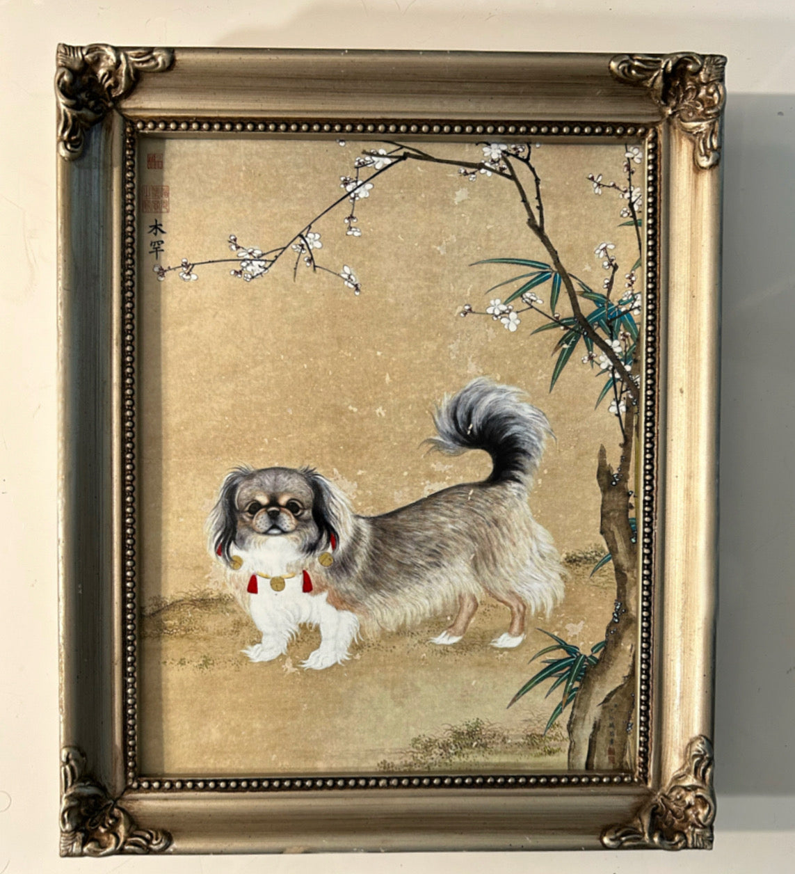 Pekingese I